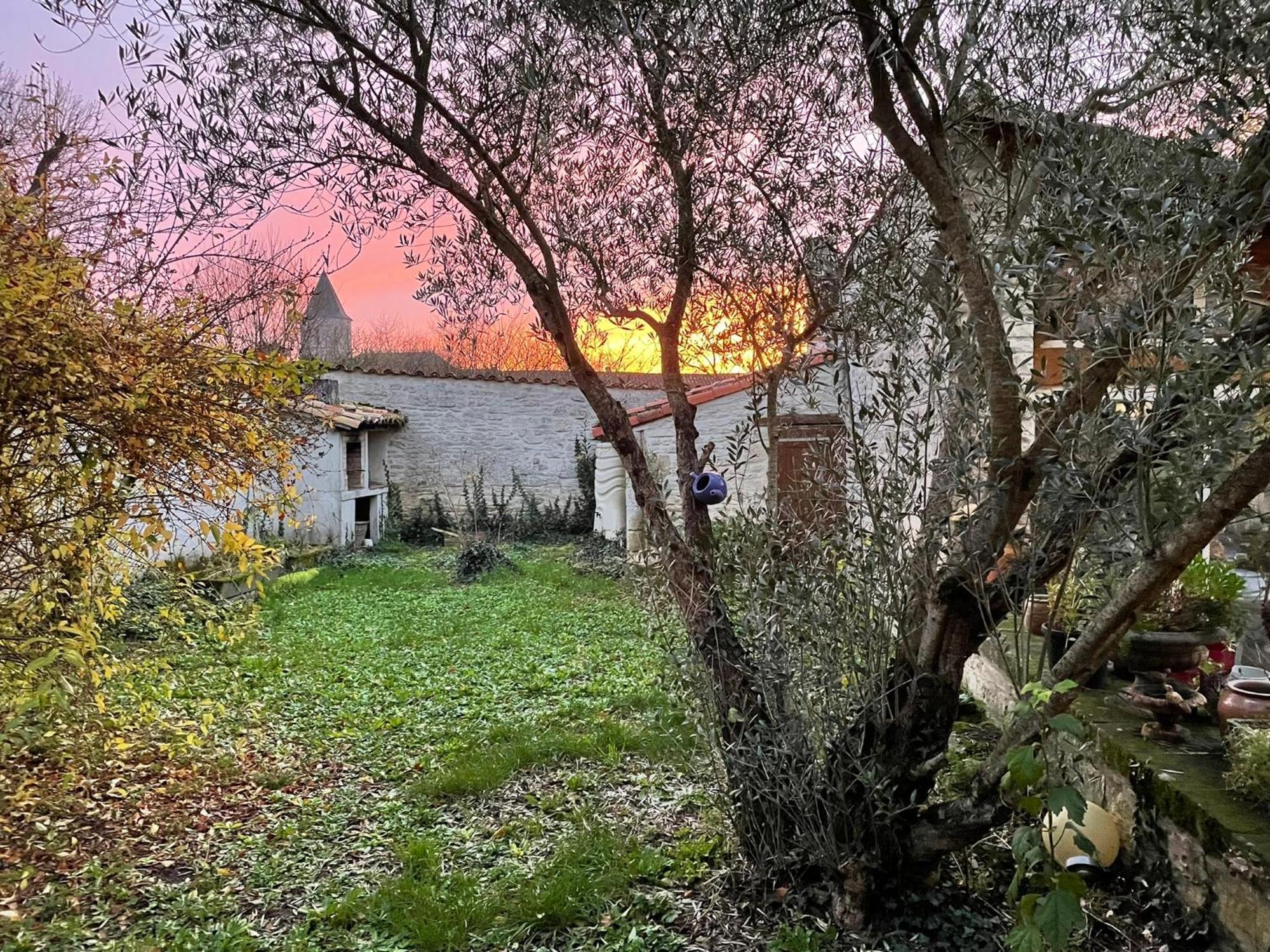 Sous L Olivier Tusson Quarto foto